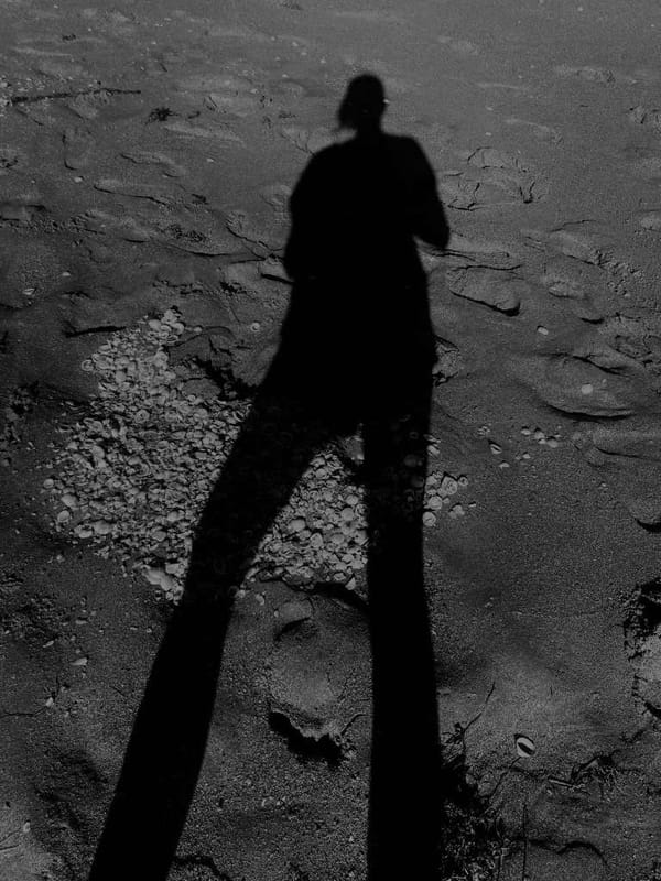 The Middle I Worry About